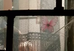 2 سه عكس هاي xxx ملکه ویدئوها